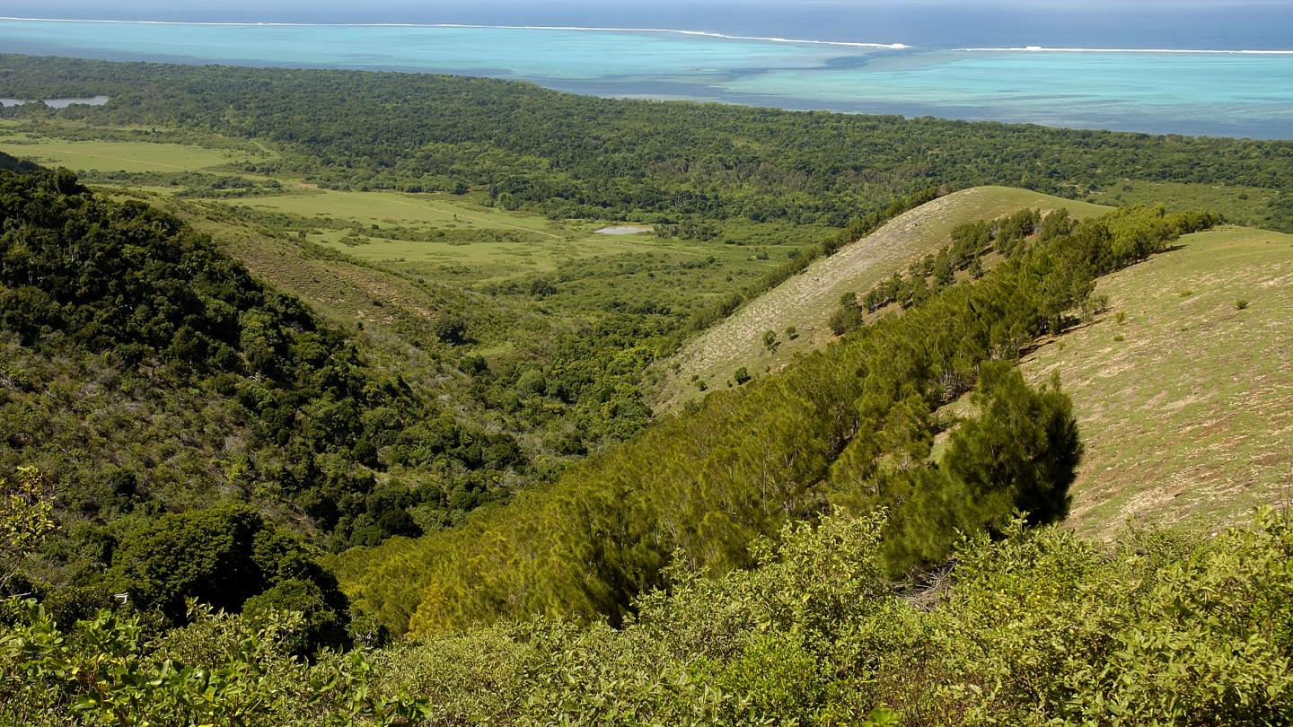 Une vue aérienne de la forêt sèche de Nouvelle-Calédonie.