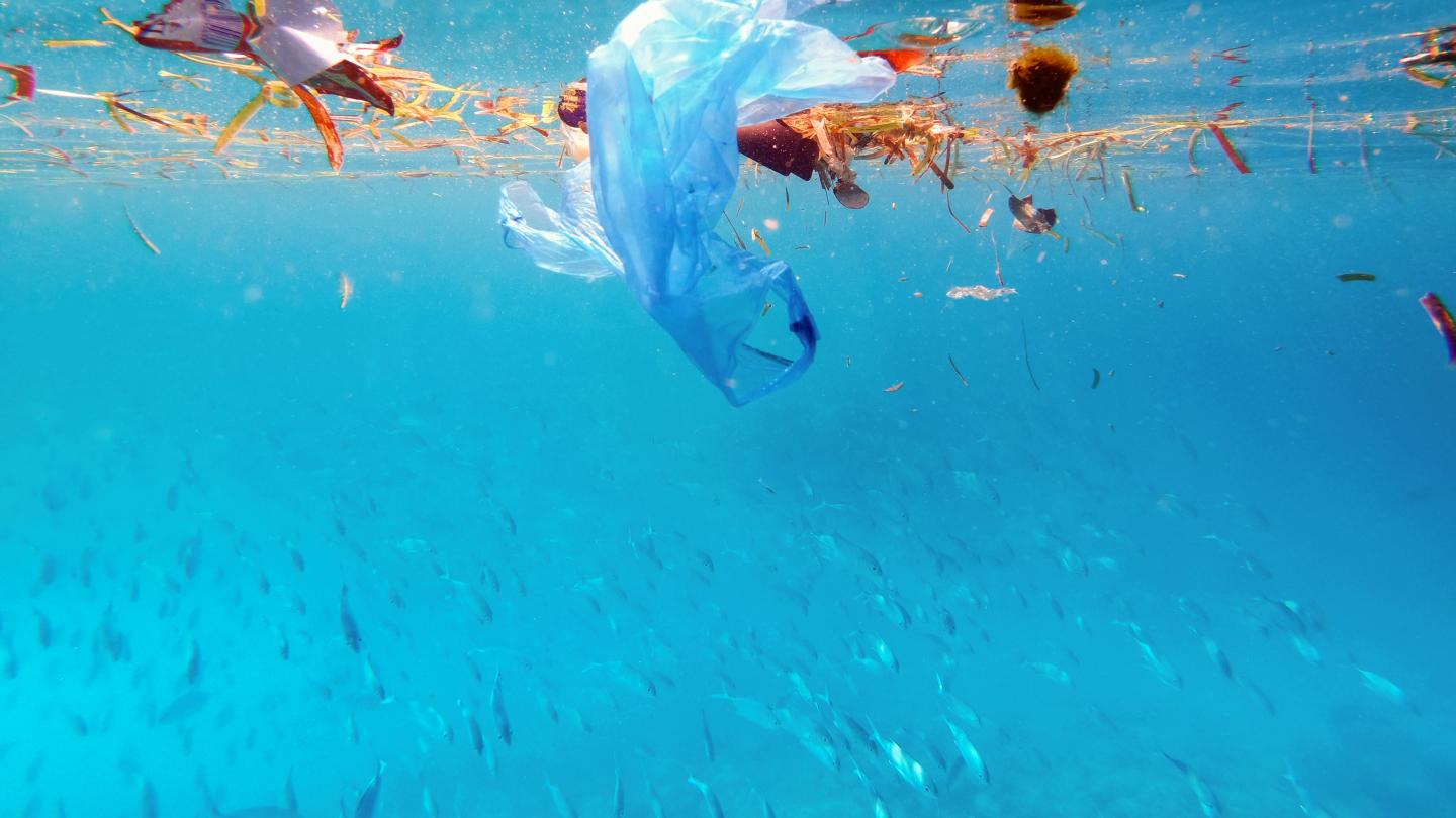 Du plastique flotte dans l'océan.
