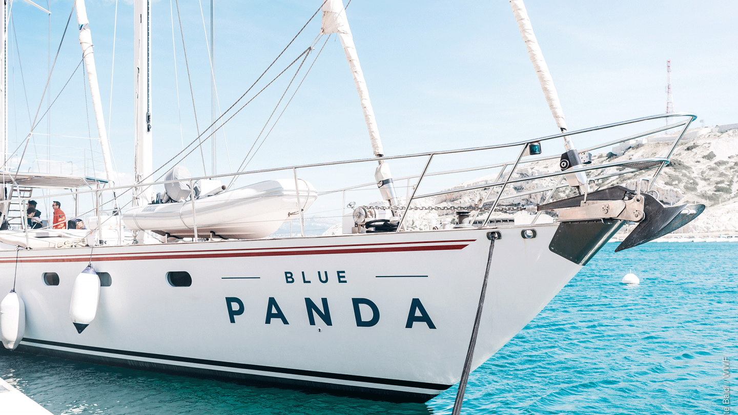 Le bateau du WWF, le Blue Panda, à quai