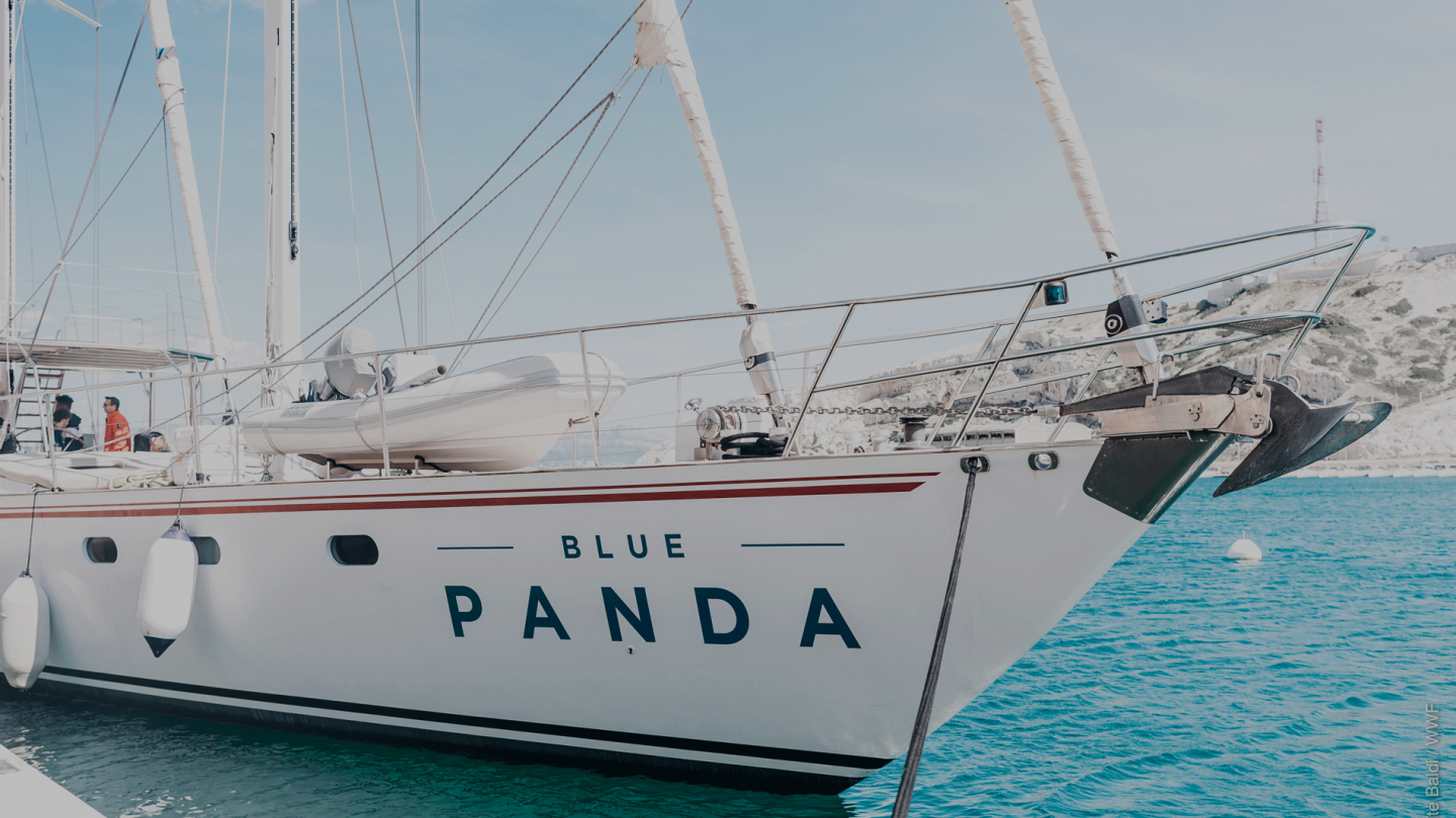 Le bateau du WWF, le Blue Panda, voguant en mer Méditerranée 