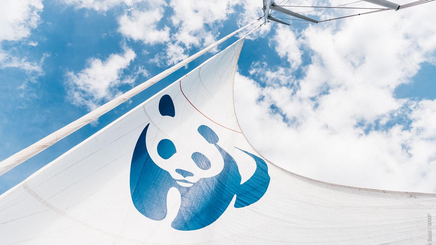 Le Blue Panda : notre voilier pour préserver la Méditerranée