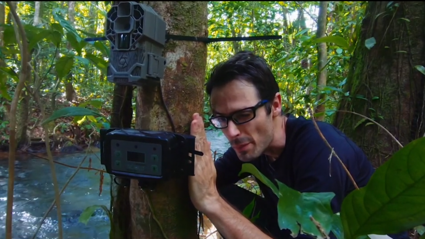 Emmanuel Rondeau installe les camrés trap durant sa mission en Guyane pour prendre un cliché d'un jaguar sauvage.