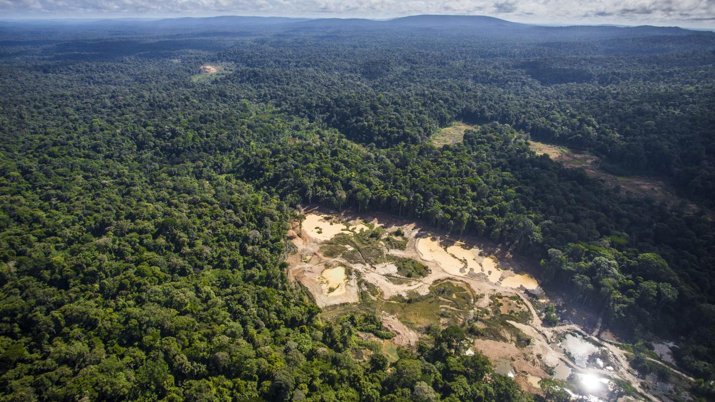Un site d'orpaillage illégal en Guyane