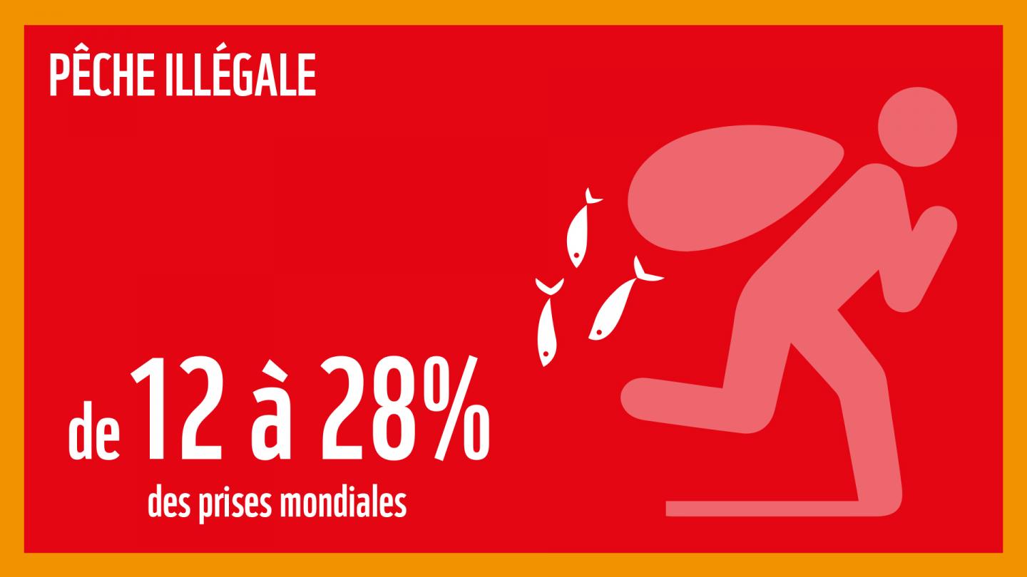 La pêche illégale : l'une des cinq grandes menaces induites par notre consommation de produits de la mer sur les océans