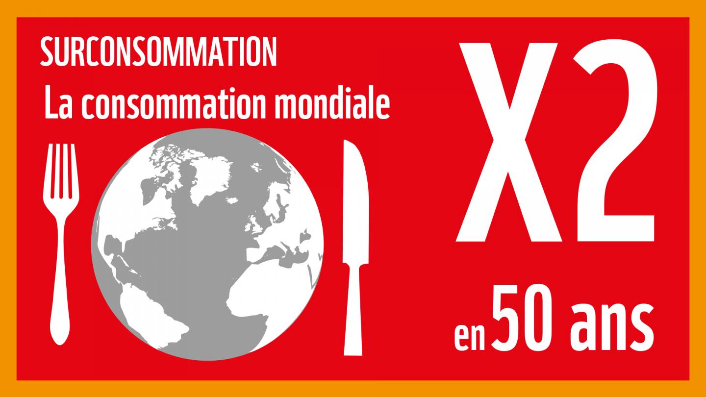 La surconsommation : l'une des cinq grandes menaces induites par notre consommation de produits de la mer sur les océans