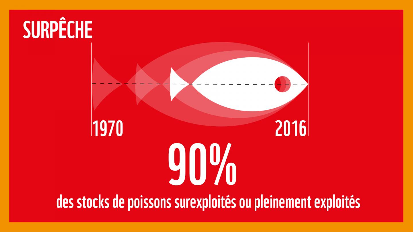 La surpêche : l'une des cinq grandes menaces induites par notre consommation de produits de la mer sur les océans
