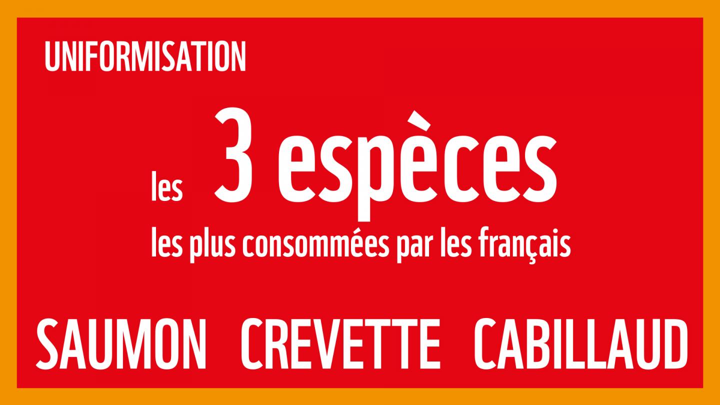 L'uniformisation de la consommation : l'une des cinq grandes menaces induites par notre consommation de produits de la mer sur les océans