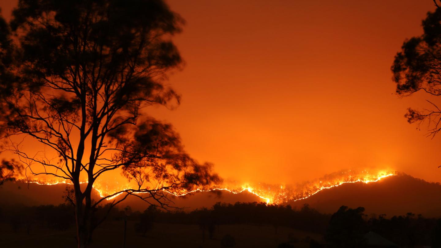 Un feux de forêt à Bowraville, Nouvelles-Galles du Sud, Australie