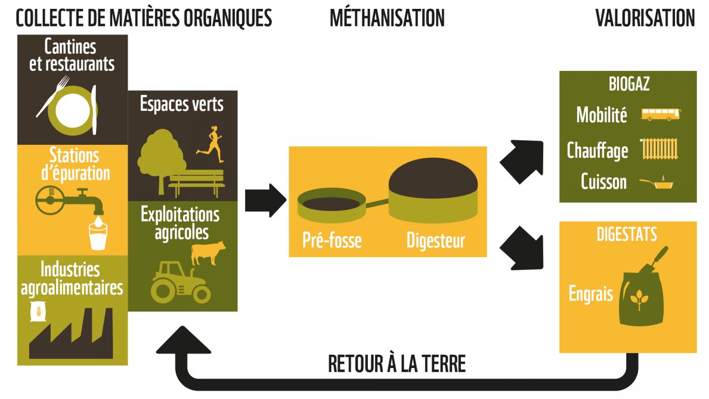 Comprendre le processus de méthanisation en infographie
