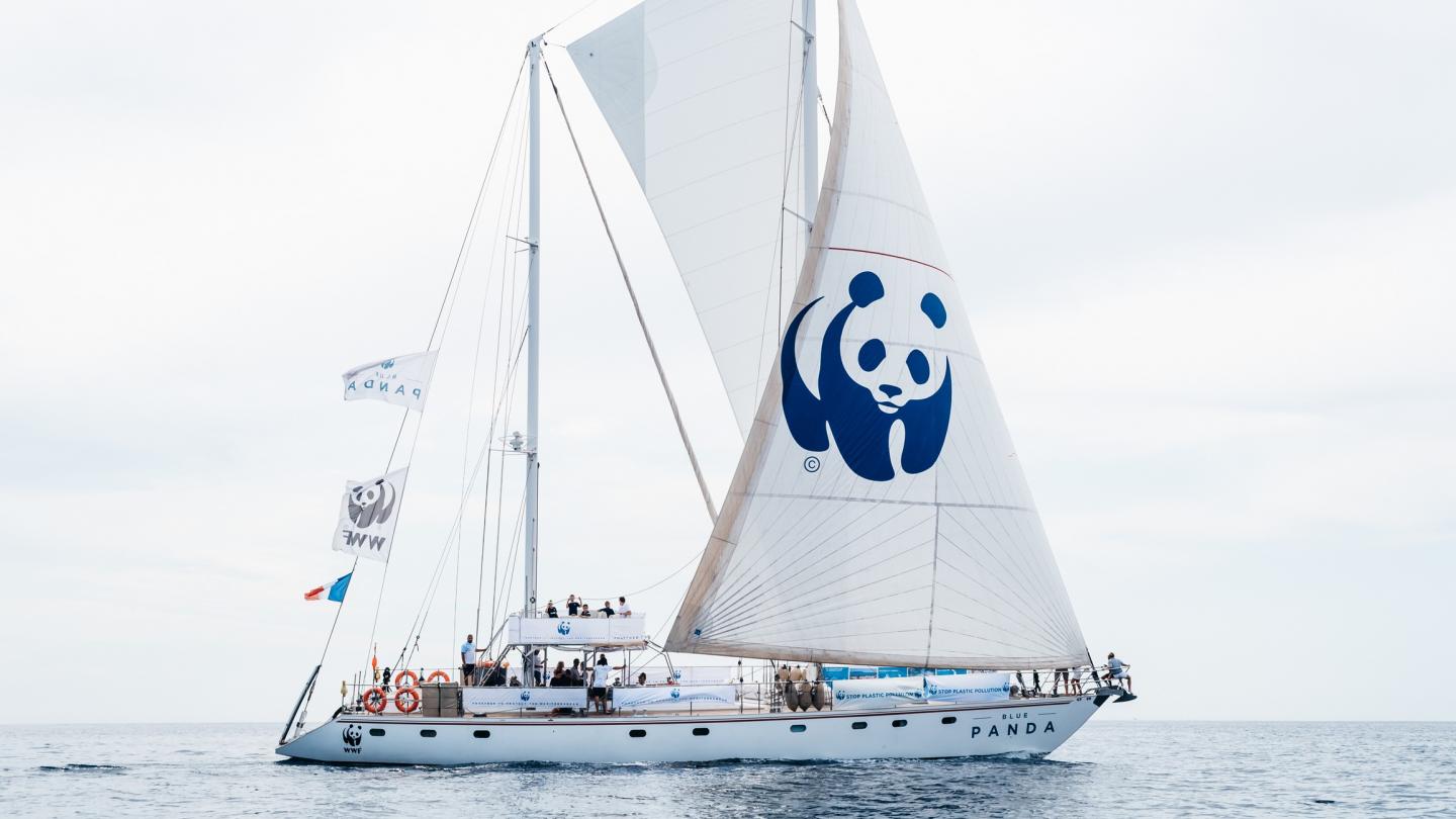 Blue Panda en mer Méditerranée