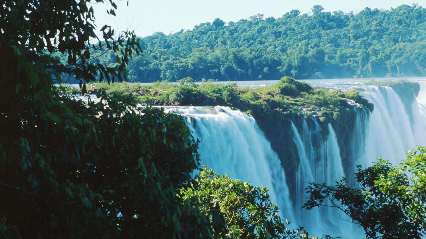 Cascade Iguazu, forêt atlantique, Haut Paraná 