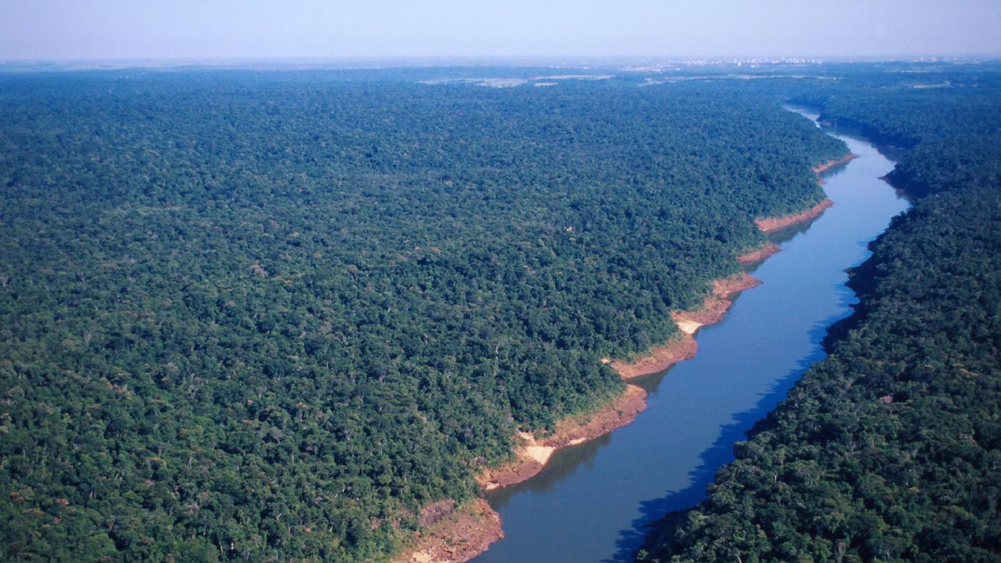 Vue aérienne du parc national Iguaçu, Forêt Atlantique, Paraná, Brésil