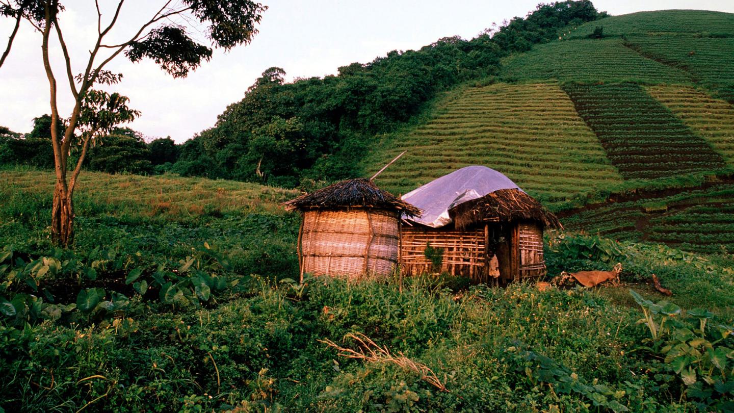 Une petite cabane est dans le parc national des Virungas 
