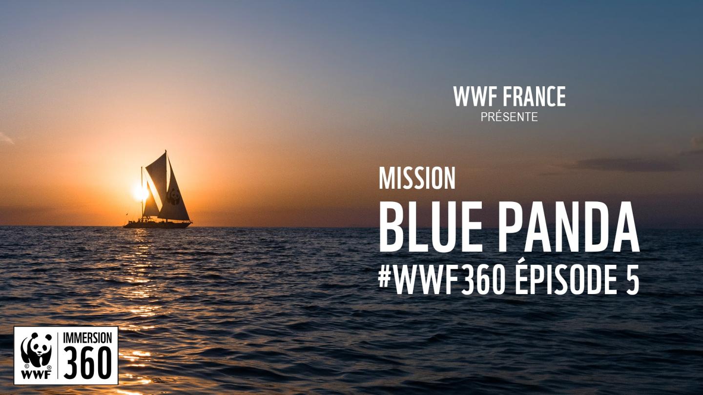 L'épisode 5 de WWF Immersion 360 : Mission Blue Panda