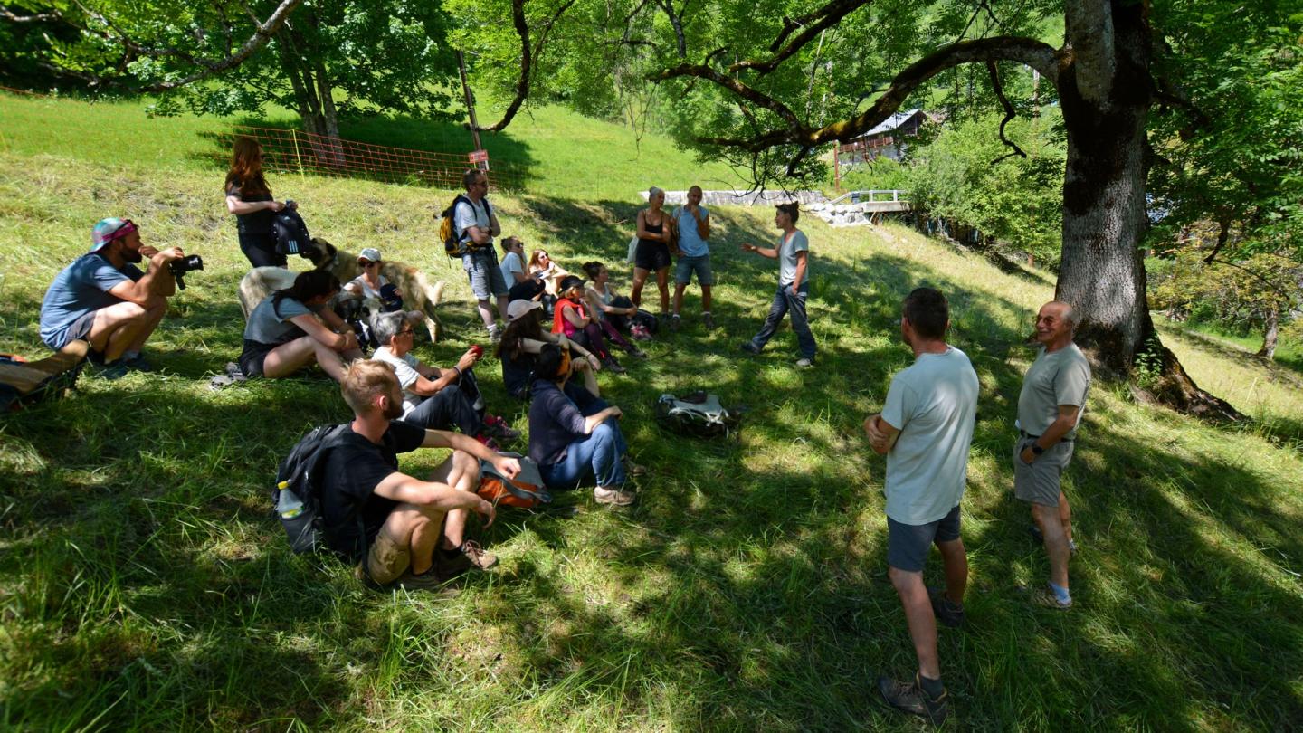 Bénévoles formés aux enjeux du pastoralisme en Haute-Savoie dans le cadre du projet Entre chien et loup (France)