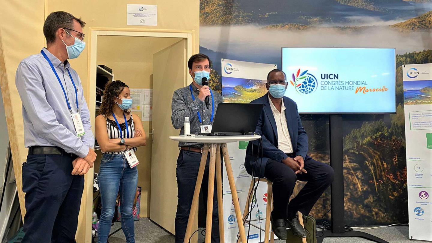 Le Plateau des Guyanes