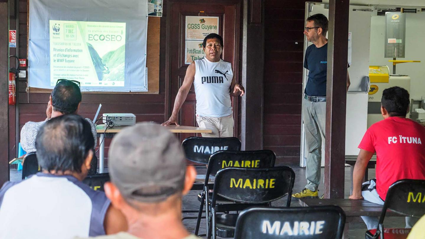 Le Plateau des Guyanes