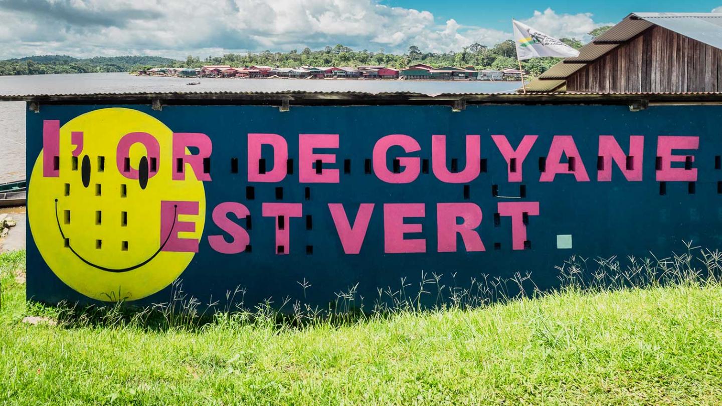 Le Plateau des Guyanes