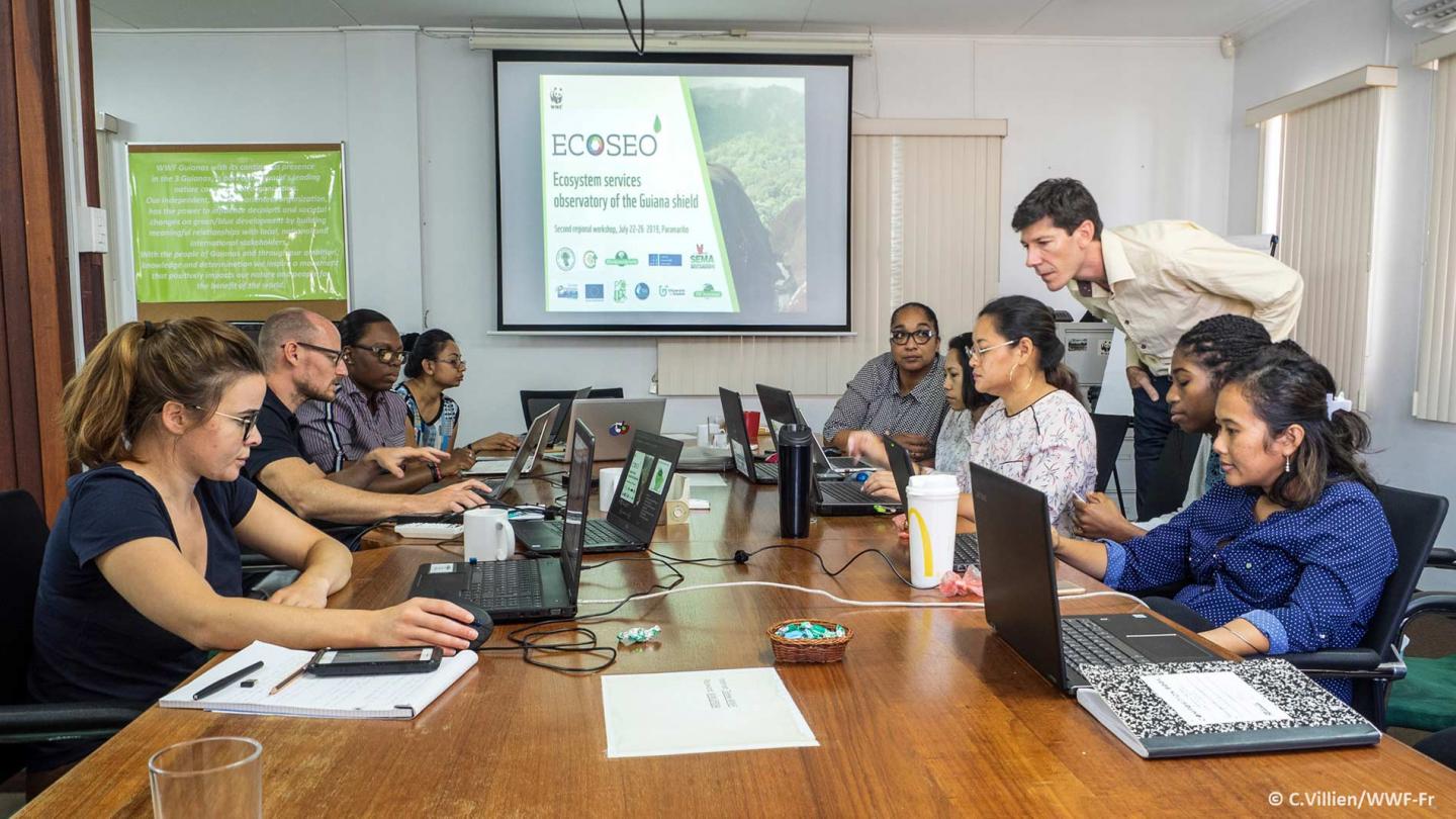 Le Plateau des Guyanes