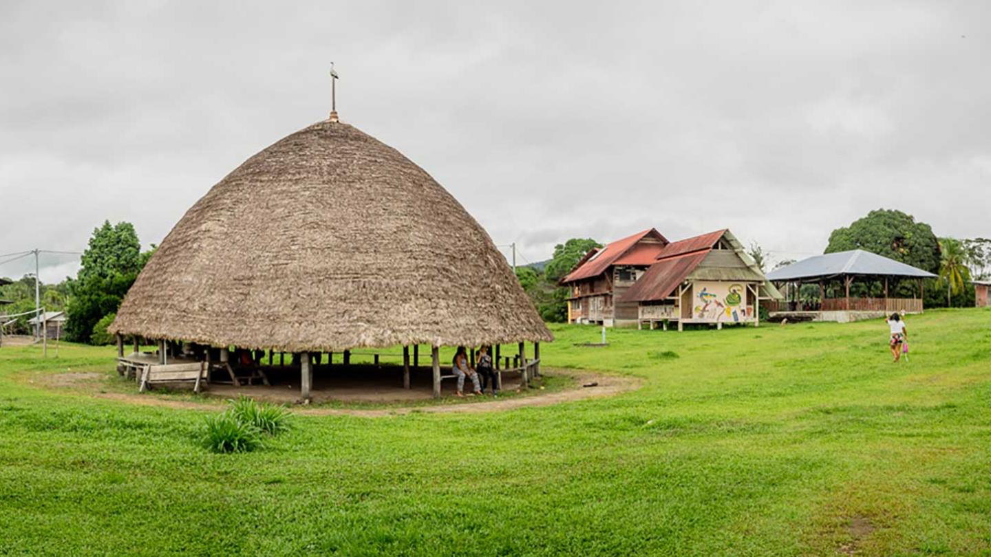 Le Plateau des Guyanes