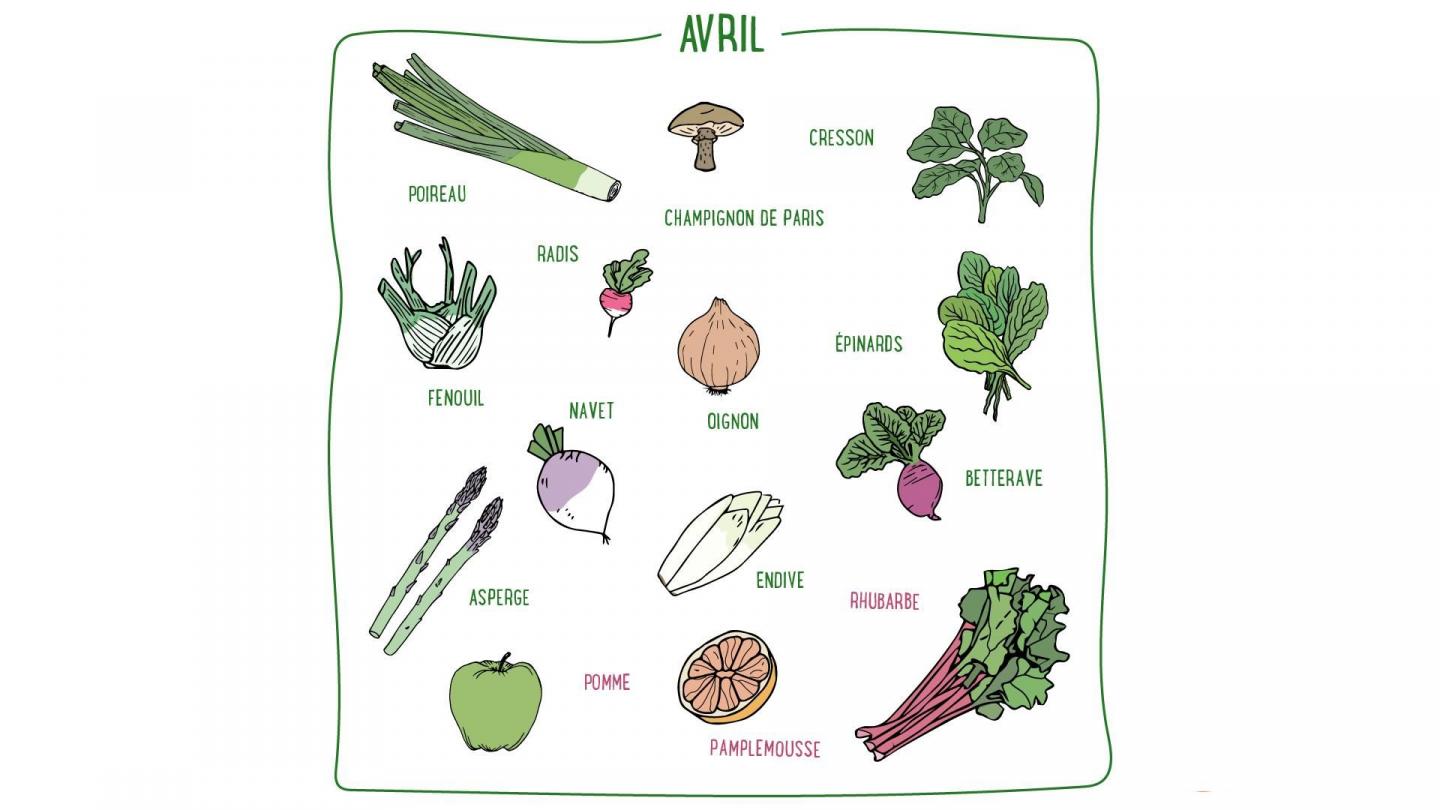 Fenouil, asperges, cresson, rhubarbe, pomme... Découvrez les fruits & légumes de saison en avril en France métropolitaine