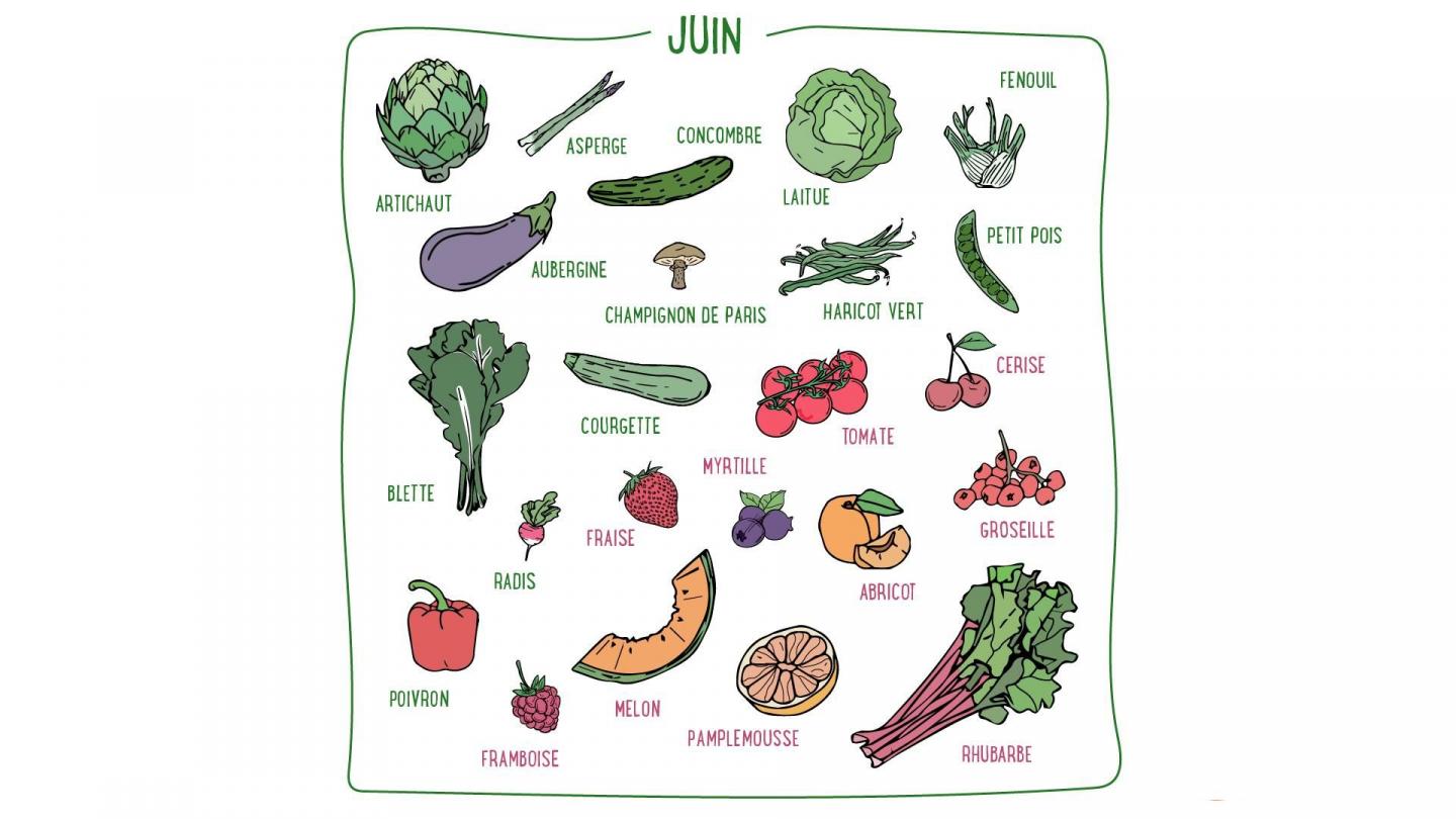 Haricots verts, blettes, tomates, aubergines, melons, cerises... Découvrez les fruits & légumes du mois de juin en France métropolitaine.