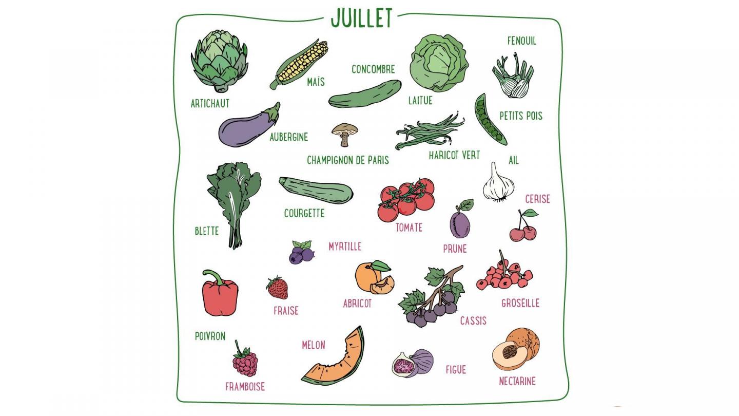 Mais, concombre, ail, poivrons, abricots, nectarines, figues... Découvrez les fruits & légumes du mois de juillet en France métropolitaine.
