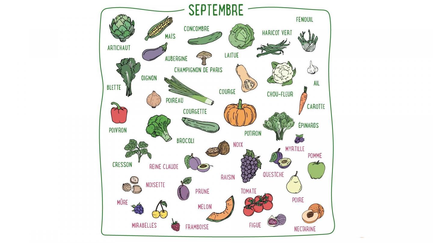 Courge, oignon, brocoli, noix, raisin, noisette... Découvrez les fruits & légumes du mois de septembre en France métropolitaine.