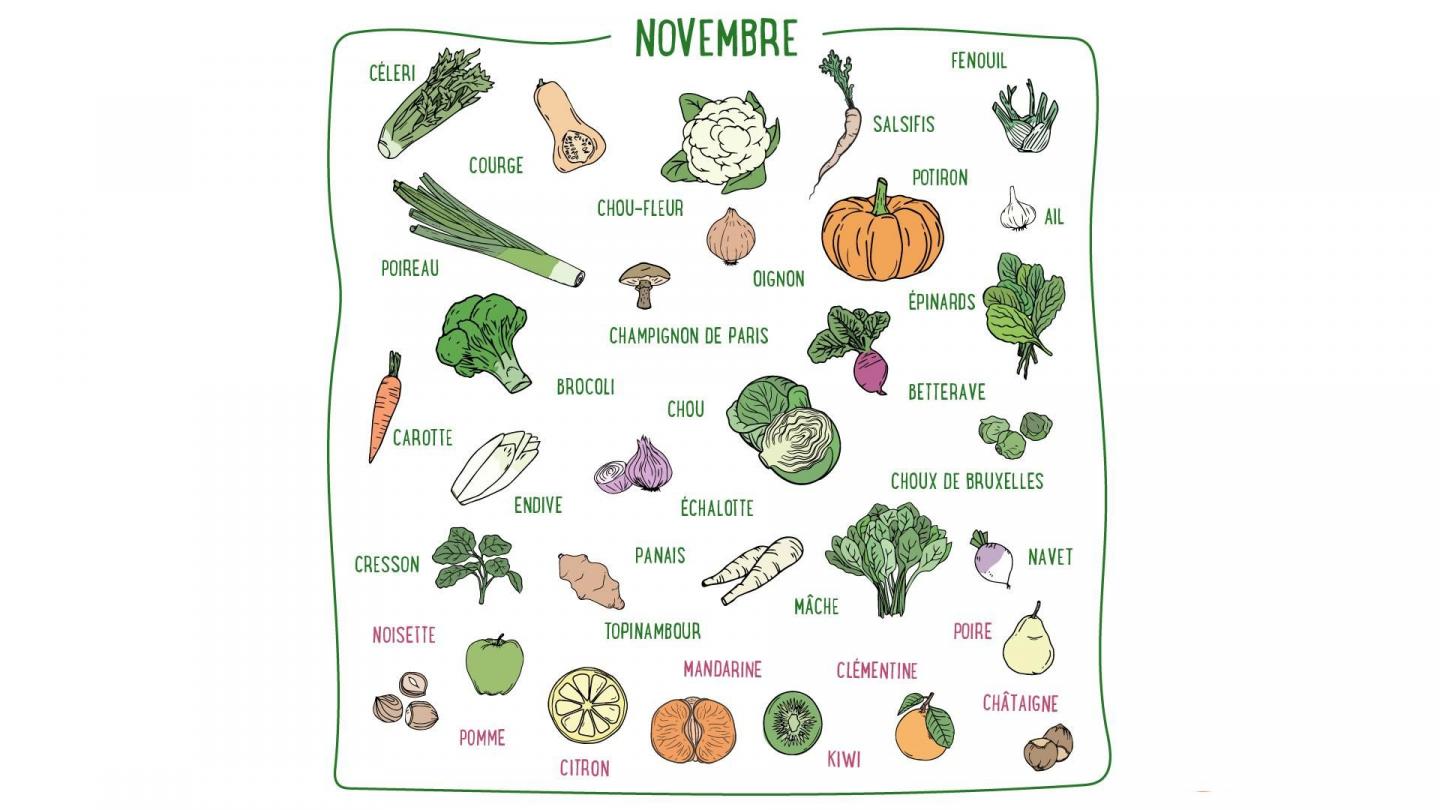 Fenouil, carotte, topinambour, citron, kiwi... Découvrez les fruits & légumes de saison du mois de novembre en France métropolitaine.