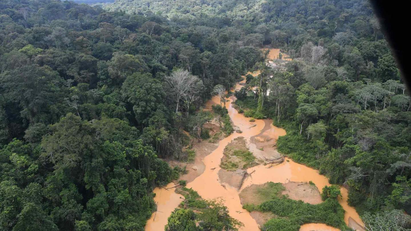 Orpaillage illégal en Amazonie