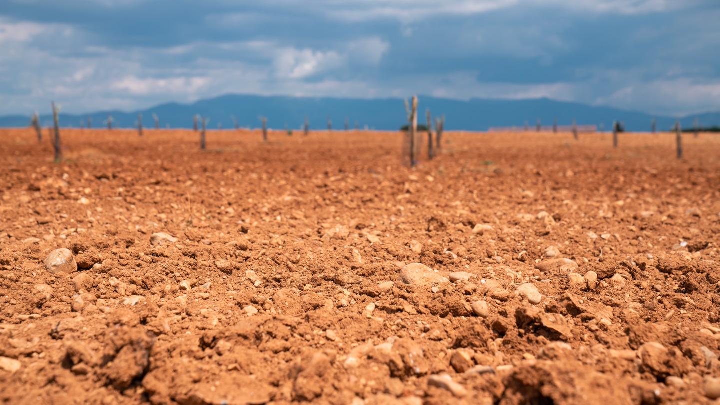 Un terrain argileux asseché