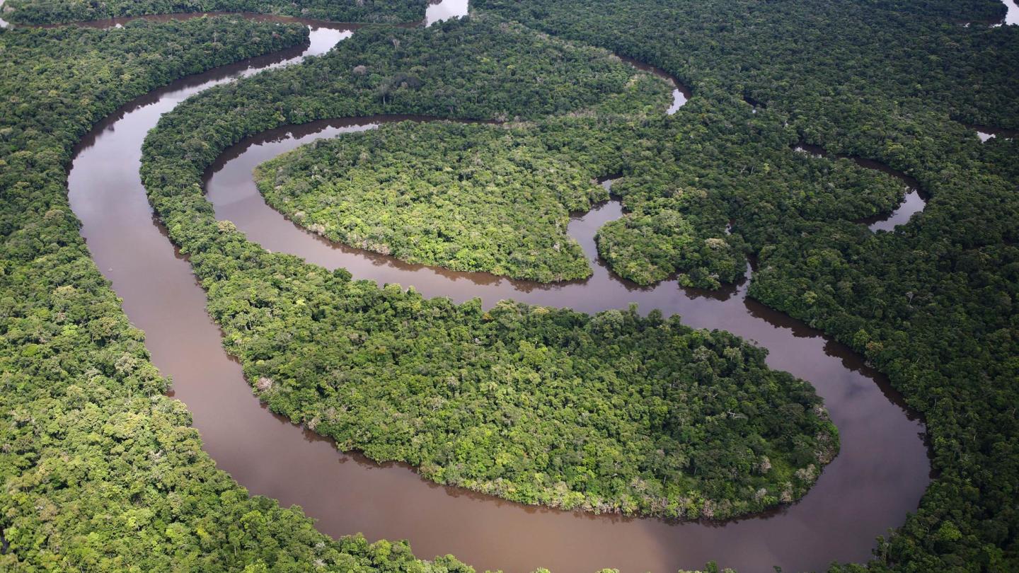 Forêt amazonienne, vue aérienne 