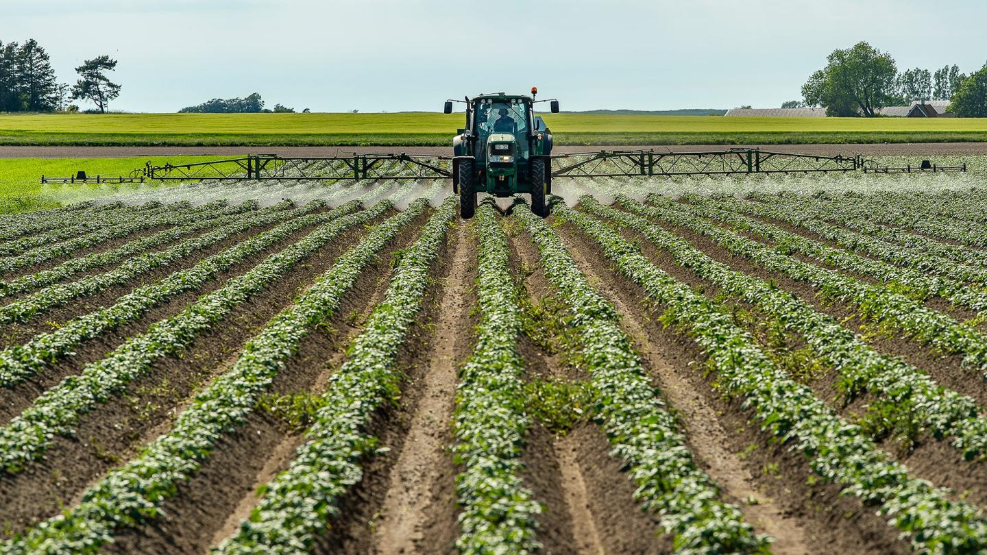 Un fermier épand des pesticides dans un champ de patates, Suède.