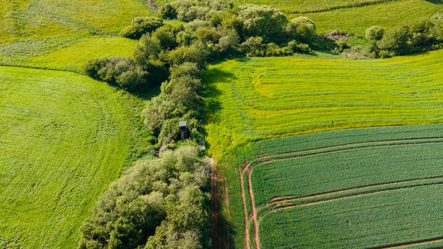Campagne agroforesterie - Plantons des haies dans les champs