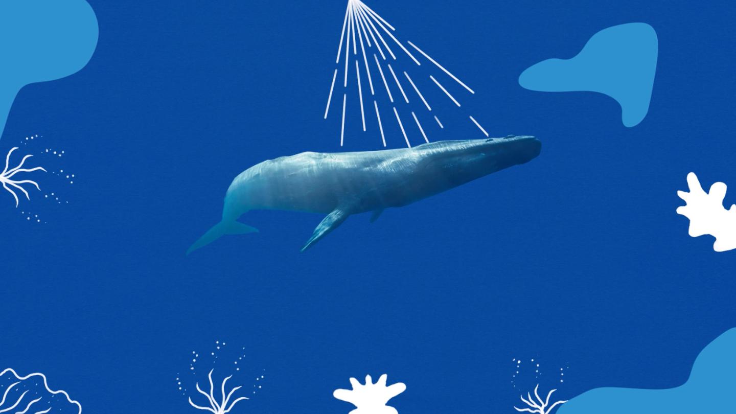 Rapport Planète vivante édition jeunesse