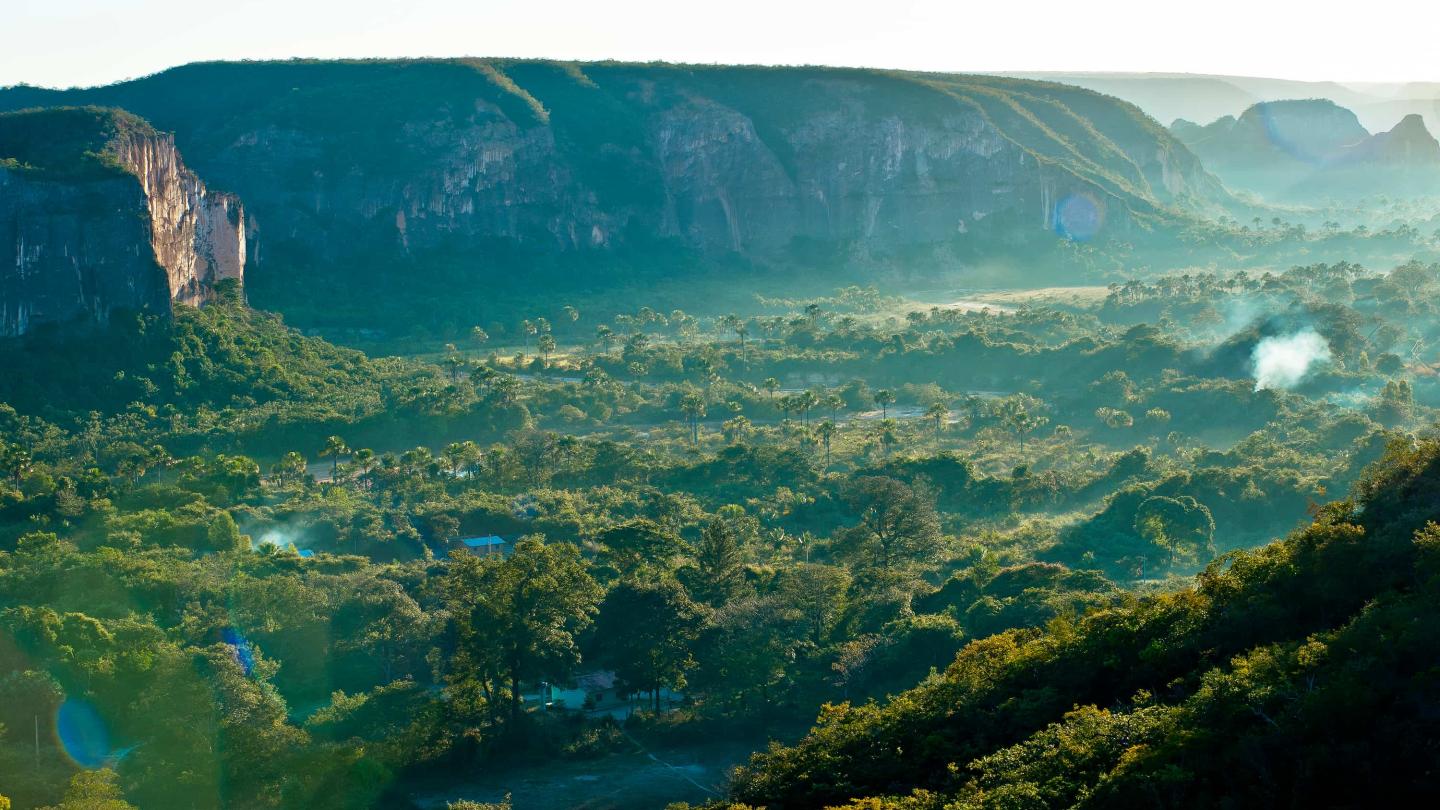 Paysage du Cerrado, Brésil.