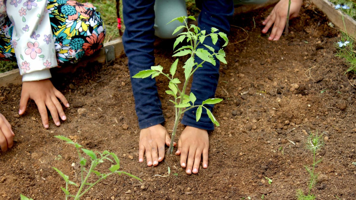 Enfants qui plante une plante 