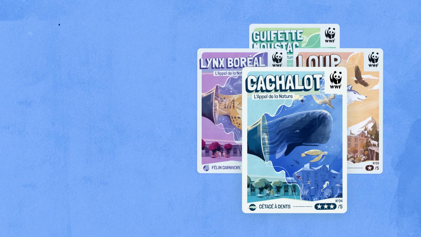 Jeu Concours - cartes à collectionner Appel de la Nature
