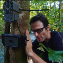 Emmanuel Rondeau installe les camrés trap durant sa mission en Guyane pour prendre un cliché d'un jaguar sauvage.