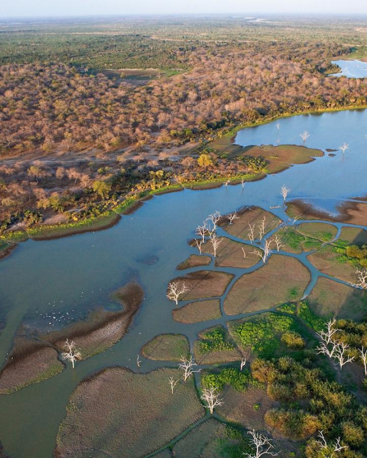 Vue aérienne de la réserve de gibier de Selous (Tanzanie)