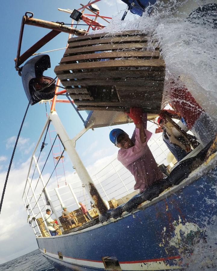 Pêcheur sortant de l'eau une caisse à homard sur le bateau Miss Danika, Honduras