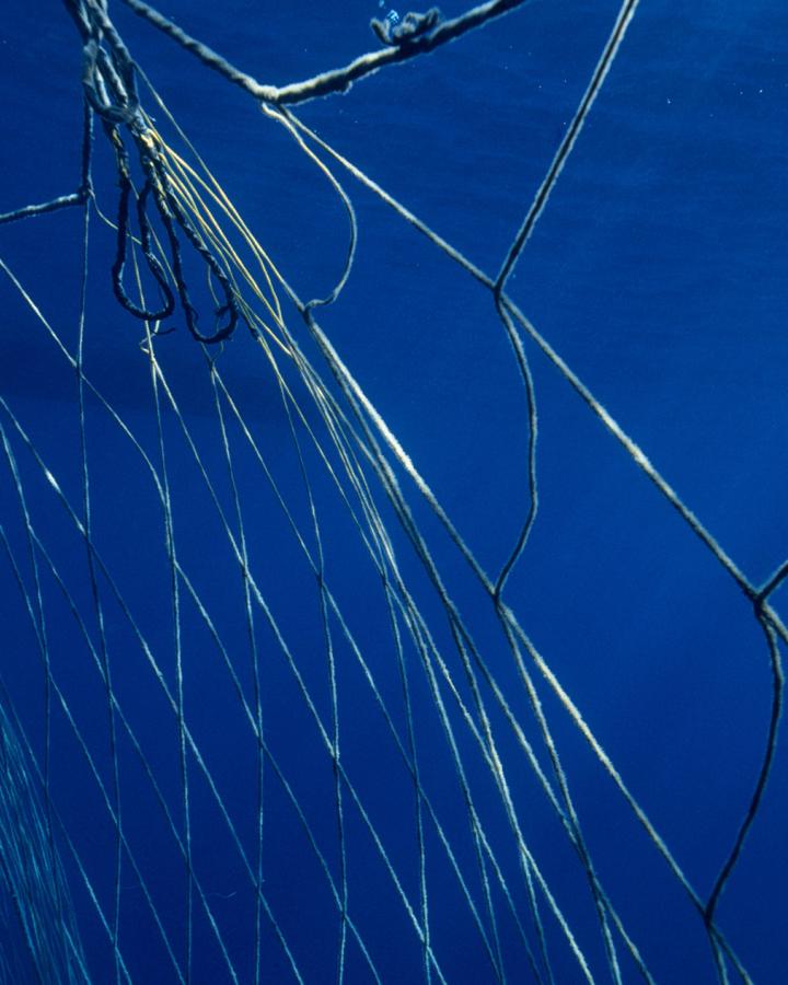 Filet de pêche dans la mer Méditerranée