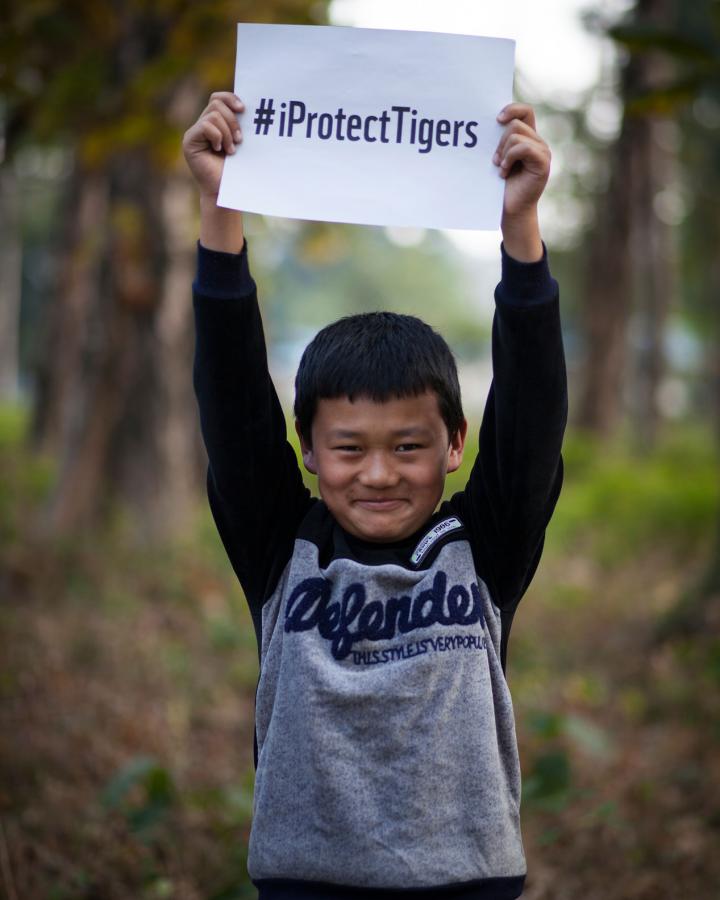 Jeune garçon qui brandit une pancarte "i protect tiger" au cours d'une journée de sensibilisation dans le Royal Manas National Park, Bhoutan