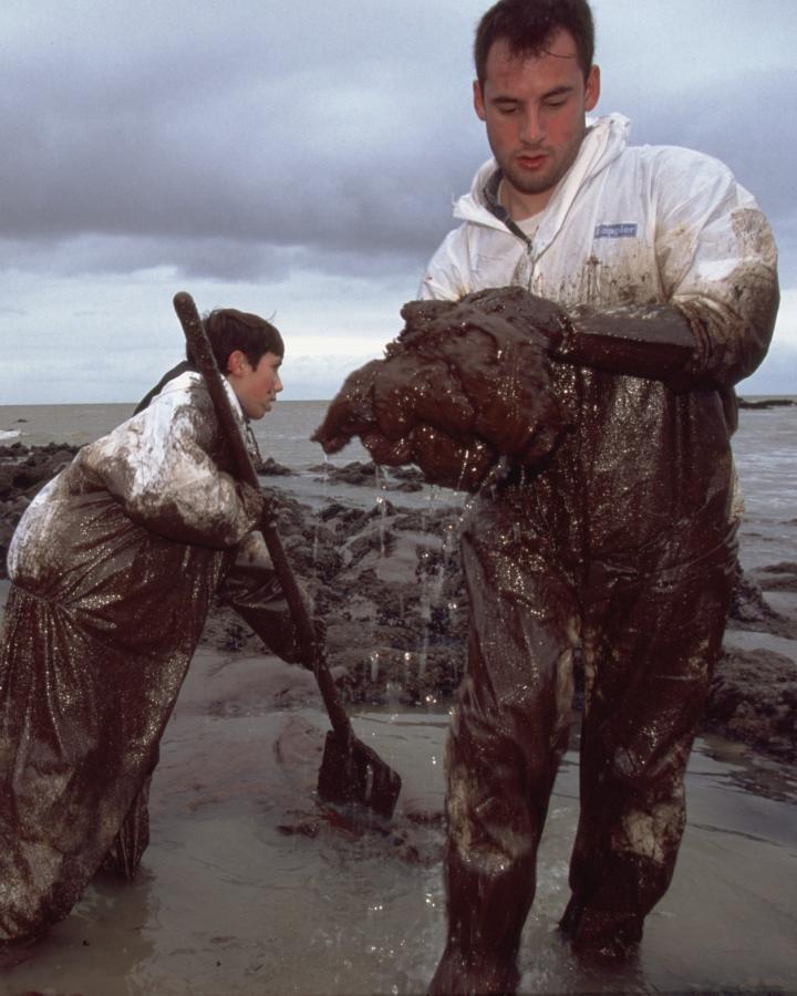 Des volontaires nettoyant les côtes bretonnes à la suite du naufrage de l'Erika