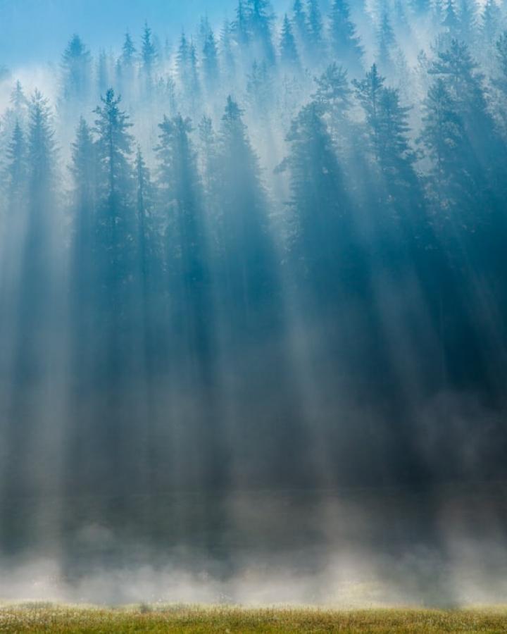 Paysage de forêt dans le Parc national de Pirin 