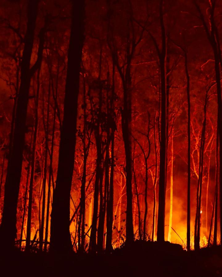Feux de forêts en Novembre 2019 à Bowraville, Nouvelle Galles du Sud, Australie