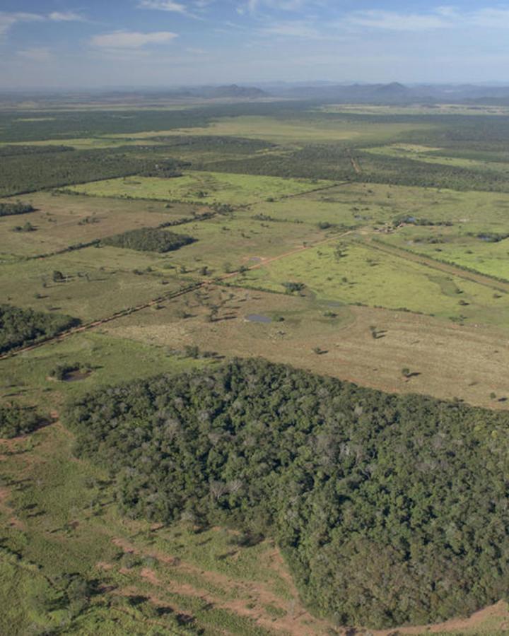 Déforestation dans la zone entre le Cerrado et le Pantanal, sud du Mato Grosso, Brésil