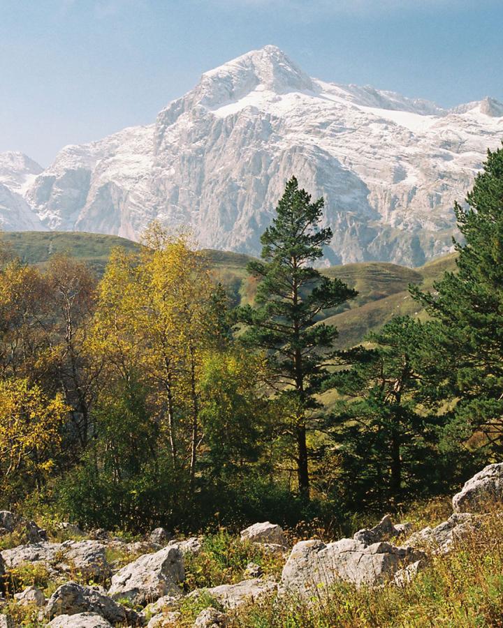 Réserve naturelle de Kavkazsky (zapovednik). Montagne Phisht.
