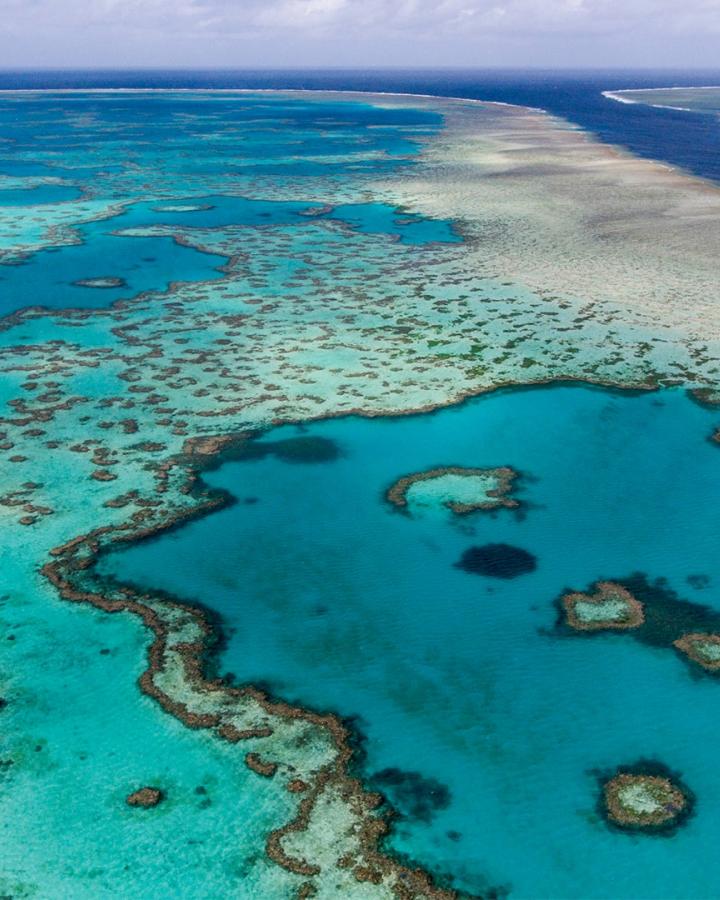 Vue aérienne de Hardy Reef, au cœur de la Grande Barrière de Corail