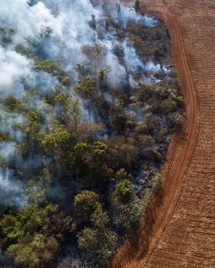 La forêt amazonienne en feux au Brésil.